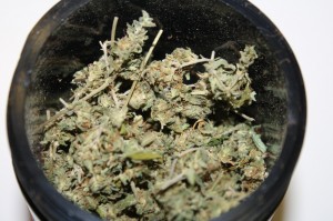Après extraction, les restes de cannabis pourront être utilisés par exemple pour faire du beurre Marijuana dans le Hash Maker