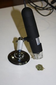 Utilisation du microscope USB pour observer une fleur de cannabis