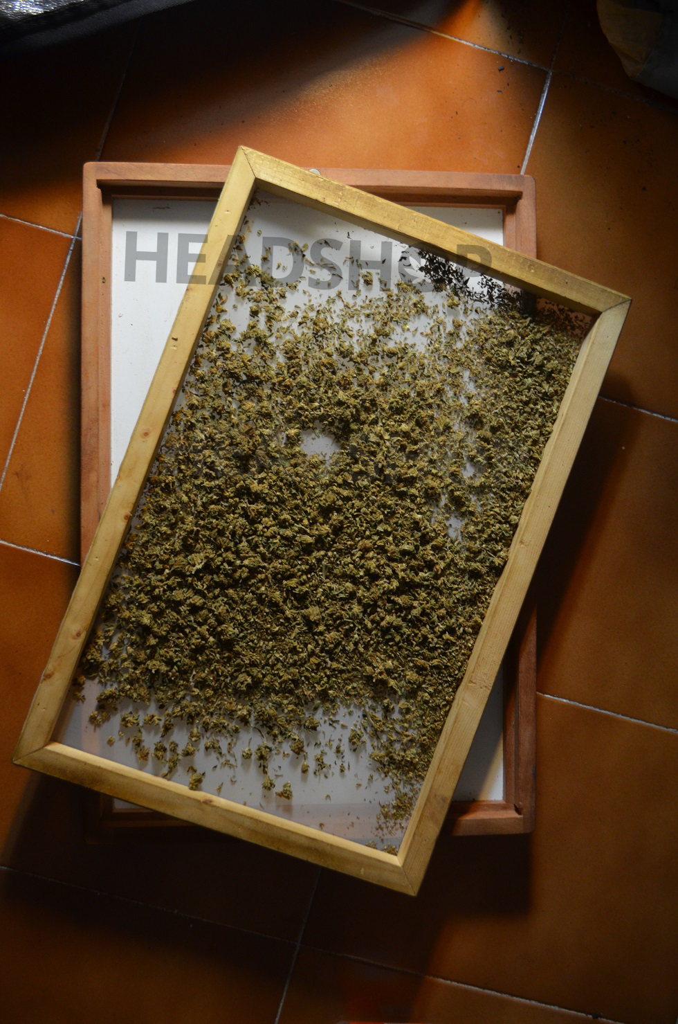 Tan Tam rempli de cannabis résineux
