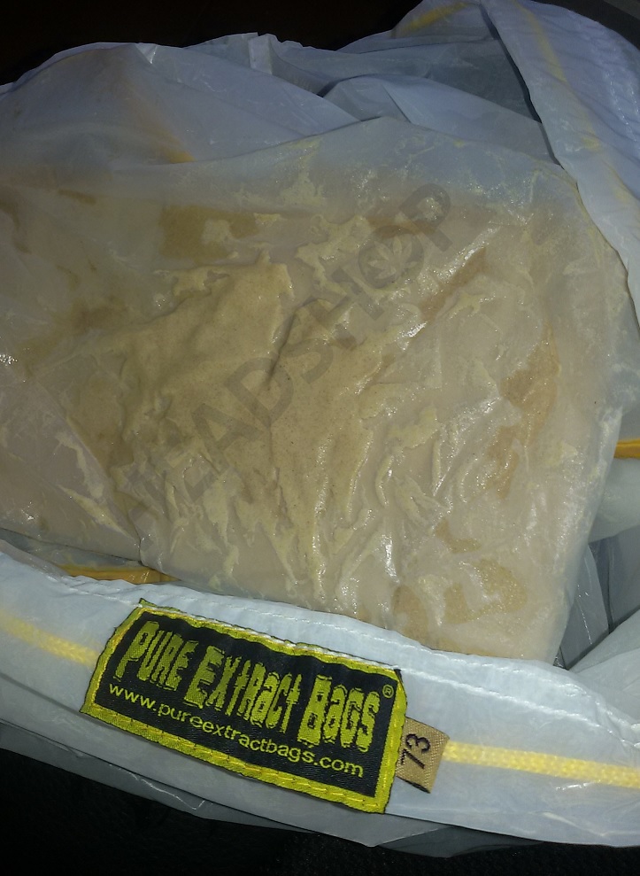 Récupération des trichomes de plus de 73 microns avec un sac Pure Extract Bag Résine comprise entre les sacs de 73 et 90 microns