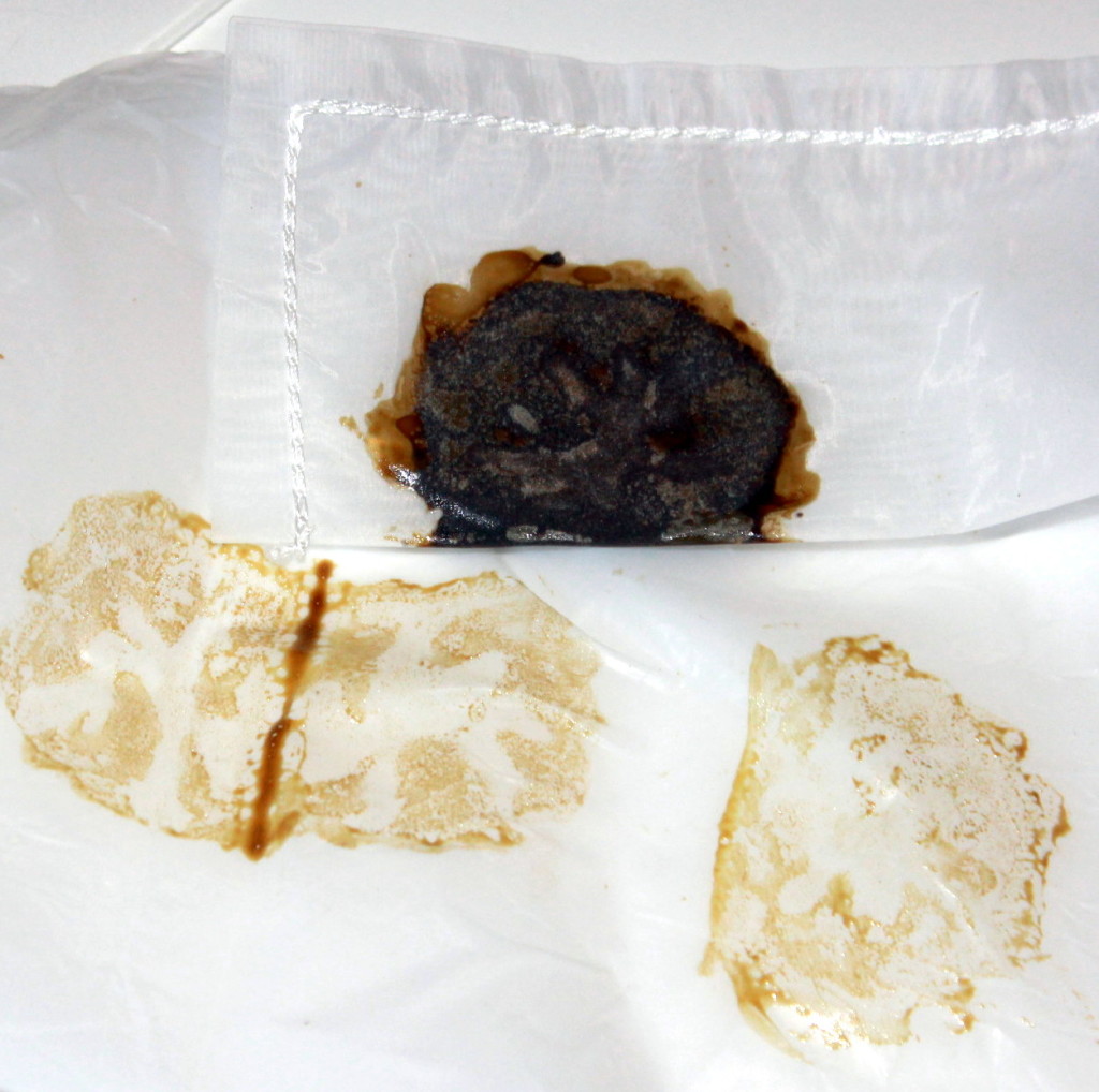 Résultat d'une <strong>extraction Rosin</strong> à partir de H en utilisant la T-Rex.